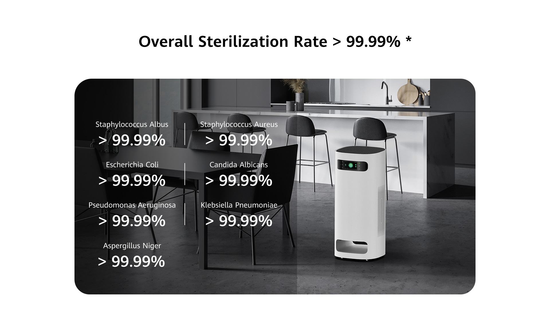 720 DS—S800 Air Sterilizer